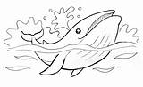 Wieloryb Whale Kolorowanka Oceanie Druku Drukowania Drukowanka Oceany sketch template