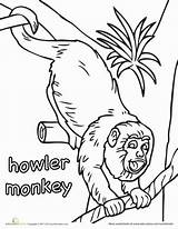 Howler Monkey Coloring 389px 4kb sketch template