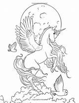 Coloring Fairy Pages Unicorn Book Adult Fantasy Colouring Horse Books Unicorns Printable Enchanted Color Mystical Kids Sheets Drawings Print Coloriage sketch template