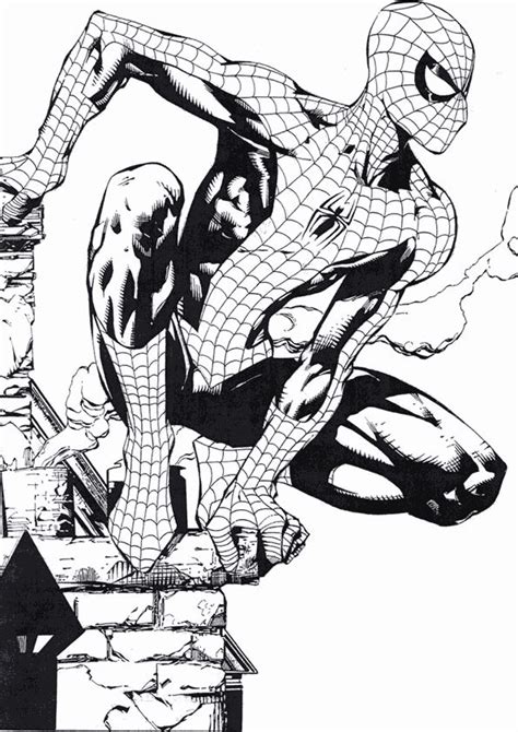 spiderman coloring pages gif  spiderman coloring amazing