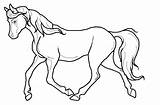 Horse Trotting Drawings Lineart Deviantart Trace Horses Printable sketch template