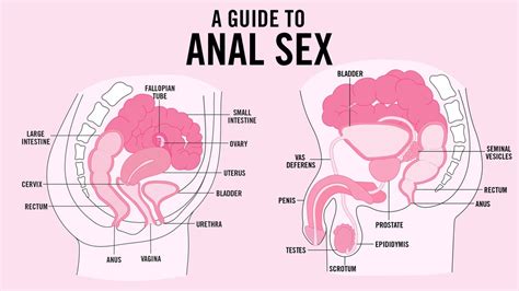 Anal Sex What You Need To Know Teen Vogue