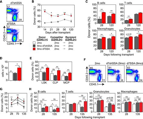 Enhanced Hematopoietic Stem Cell Function Mediates Immune Regeneration