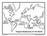 Rainforests Madagascar sketch template