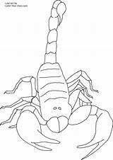 Scorpion Scorpio Scorpions Bestcoloringpagesforkids Coloringbay Coloriages Colorier sketch template