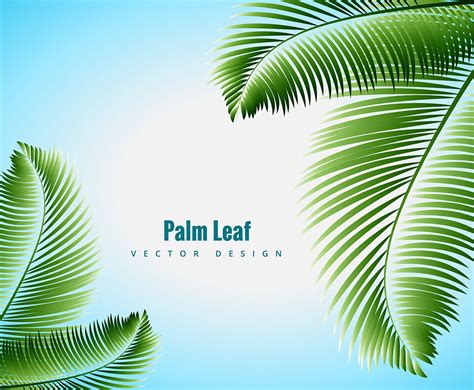 palm leaf vector vector art graphics freevectorcom