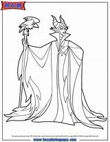 Maleficent Sorceress Addormentata Bosco Designlooter sketch template