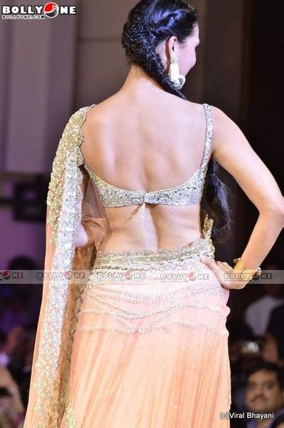 All Stars Photo Site Hot Backless Saree Pics Of Bollywood