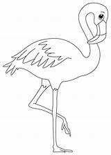 Flamingo Line Drawing Coloring Pages Bird Wading Getdrawings sketch template