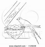 Nest Swallow Clipart Outlined Its Beams Between Picsburg Cartoon Coloring Vector Swallows Clipground Bird Tree sketch template