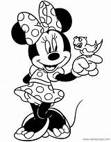 Colorir Disney Disneyclips Pájaro Daisy Minni Dibujosonline Stampare sketch template