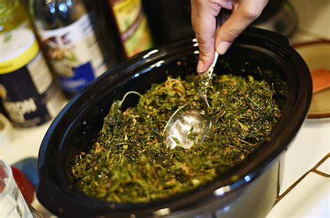 how to make cannabis oil in your slow cooker