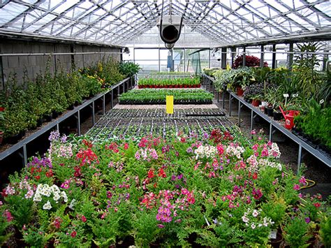 El Jardinero Plantas Y Flores Jardinería