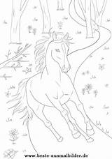 Ausmalbilder Pferde Pferd Ostwind Ausmalen Wald Erwachsene Malvorlagen Zeichnen Horse sketch template