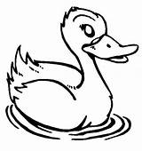 Duck Swimming Coloring Netart sketch template