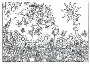 image result  nature coloring pages  adults coloring pages