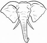 Head Elephant Drawing Opal Manor sketch template