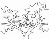 Coloring Pages Birds Bird Feeding Nest Activity Baby sketch template