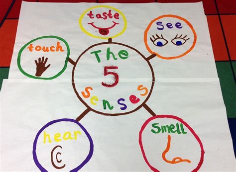 senses crafts  preschool posted  kindergarten smarts