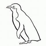 Penguin Coloring Penguins Pages Printable Baby Colouring Cartoon Simple Rockhopper Clipart Clip Cliparts Animals Print Library Kids Cute Winter 590px sketch template