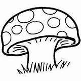 Toadstool Pages Coloring Surfnetkids Spotted Science Getcolorings Printable Previous sketch template