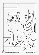 Mewarnai Hewan Kucing Tk Ibu sketch template