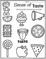Senses Preschool Planningplaytime Playtime Sentidos Niños 5senses sketch template