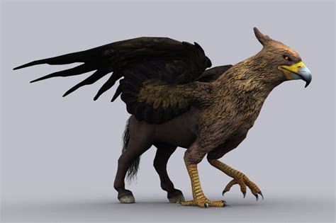 hippogriff fbx   characters people creative market
