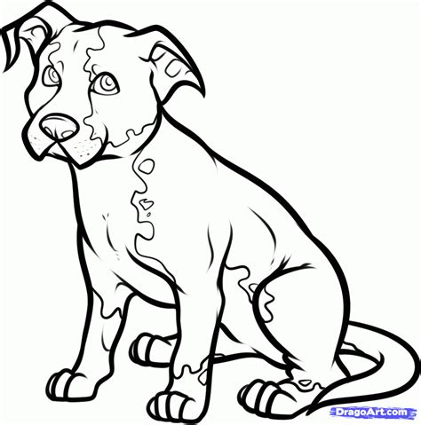 sketch drawings  dogs lol picture collection