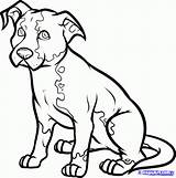 Dog Draw Drawing Drawings Dogs Sitting Step Line Sketches Sketch Cartoon Coloring Clipart Clip Cliparts Puppy Pitbull Boxer Animal Color sketch template