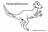 Pachycephalosaurus Names Dinossauro Dinosaure Colorir Coloriage Colorier Pritnable Triceratops Dessin Tudodesenhos Coloriages Freekidscoloringpage Olphreunion Imprimir 1526 sketch template