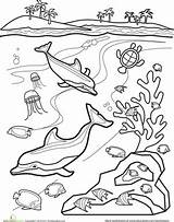 Coloring Pages Underwater Ocean Scene Print Sea Printable Under Color Sheet Oceans Adults Getcolorings Worksheet Template sketch template