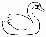 Colorear Cisnes Cisne Disfrute Motivo Pretende Compartan sketch template