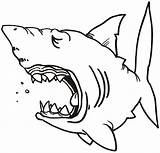 Shark Coloring Requin Printable Sea Dessin Templates Stencil Mouth Pages Open Template Drawing Coloriage Clipart Cartoon Cliparts Sharks Outline Colouring sketch template