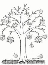 Herfst Bomen Tekeningen Kleurplaten Herfstboom Seizoenen Knutselopdrachten sketch template