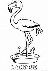 Flamingo Naam Kleurplaten sketch template