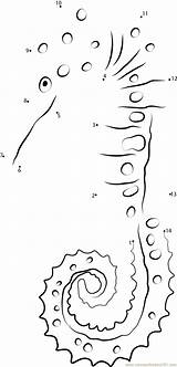 Seahorse Dot Mighty Dots Connect Worksheet Pdf sketch template