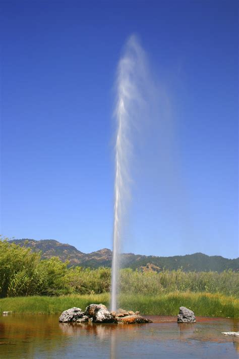 check    faithful geyser  california