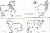 Farm Colouring Animals Eyfs Printable Early Years Colour sketch template