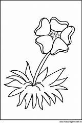Blumen Vorlagen Malvorlagen Blume Ausdrucken Genial Datei Dillyhearts sketch template