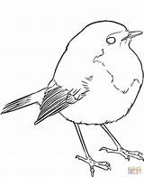 Lineart Passero Rudzik Oiseau Lignes Sparrow Spatzen Ausmalbild Vectorielle Supercoloring Pracy Autyzmem Dziecka Arkusz Hewan Pajaros Regoli Pngitem Fermo Goldcrest sketch template