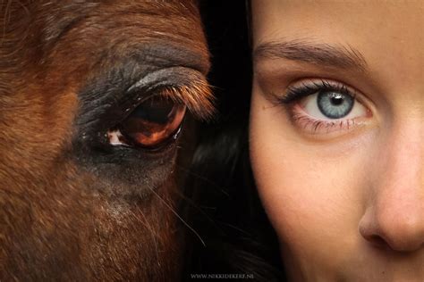 fotoshoots paard paardenfotograaf nikki de kerf fotoshoot met paard en meer