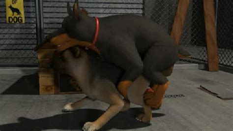Gay beastyality pics