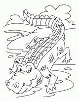 Krokodil Ausmalbild sketch template