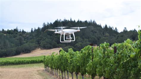 ways drones  changing vineyard management sevenfifty daily