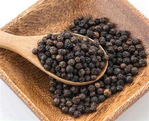 black pepper seeds buy black pepper seeds  bastar chhattisgarh india