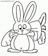 Conejo Zanahoria Cuidando Conejos sketch template