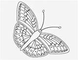 Butterfly Drawing Coloring Beautiful Wallpaper Colour sketch template