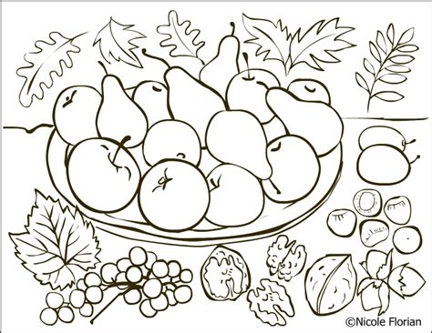 nicoles  coloring pages autumn fruits coloring page desene de