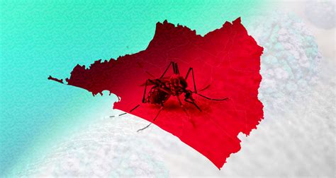 colima es el estado con más casos de dengue en el país en lo que va del